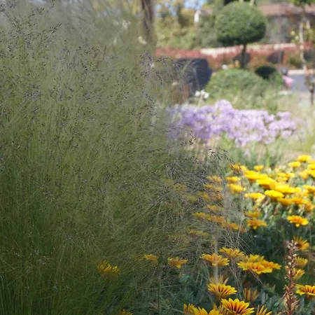 Les Jardins De Santa Giulia - Charmante Dhte Gasthuis Porto-Vecchio (Corsica)